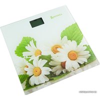 Напольные весы Василиса ВА-4007 Букет ромашек