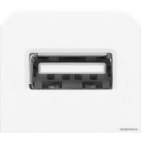 Розетка USB Orno OR-GM-9011/W/USB
