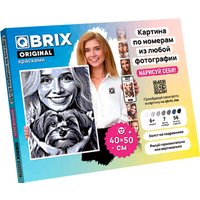 Картина по номерам QBRIX Original 40033