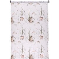 Мини рулонные шторы Franc Gardiner Print Лесные друзья медведи, день 80х160 9403219116