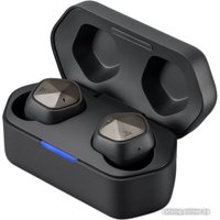 Наушники Astell&Kern AK UW100MKII