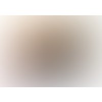 Съедобная пудра для тела Shunga Strawberry Sparkling Wine клубника и шампанское 3004 (228 г)