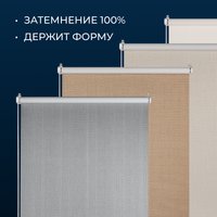 Рулонные шторы Franc Gardiner Blackout Dublin 100x160 7799668 (белый)