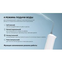 Ирригатор  Polaris PWF 1005 T (белый/серый)