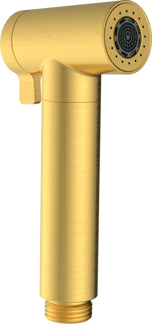 Душевая лейка Altrobagno Modern 060206 OrSp