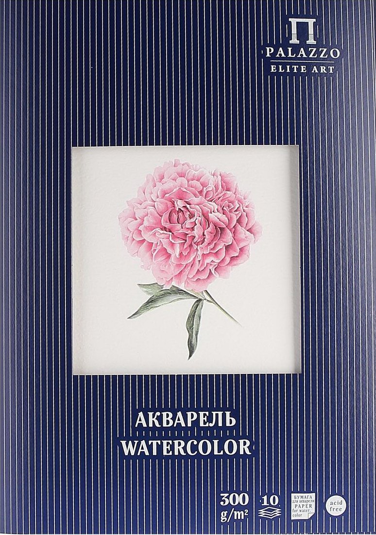 

Набор бумаги для рисования Лилия Холдинг Пион А4 П-1722 (10 листов)