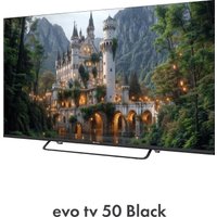 Телевизор Evo TV 50 Black TD0051753RU