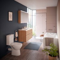Унитаз напольный Vitra Norm Eisberg 9844B099-7204