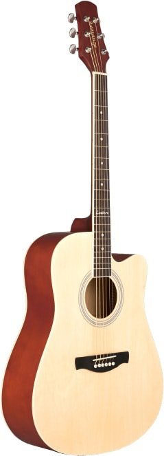

Акустическая гитара Laviere L-401 NT
