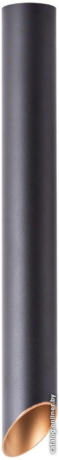 Светильник Arte Lamp Pilon-Gold A1537PL-1BK
