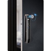 Дверной замок Roome Tuya 3D face intercom Lock 3D face-1 (черный)