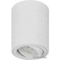 Спот ЭРА OL34 WH MR16 GU10 Б0056382