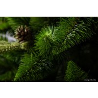 Сосна GreenTerra Рапсодия зеленая 2.2 м