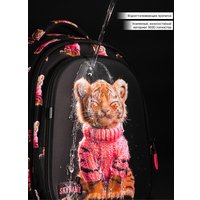 Школьный рюкзак SkyName R1-064 + брелок мишка