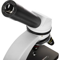 Микроскоп Levenhuk Discovery Nano Polar с книгой 77965