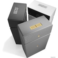 Беспроводная аудиосистема Audio Pro Drumfire II (серый)