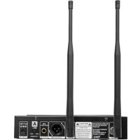 Радиосистема Rockdale Pro Stage 200 Head в Пинске