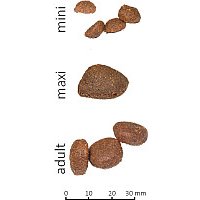 Сухой корм для собак Farmina N&D Low Grain Lamb & Blueberry Adult Mini 800 г