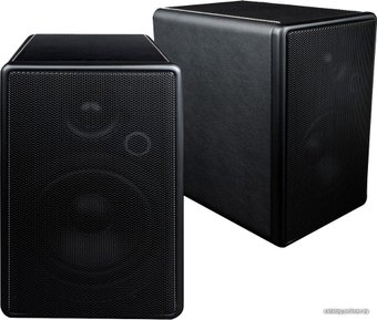 Полочная акустика Blue Aura WS80i (черный)
