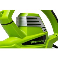 Садовая воздуходувка Greenworks BL3000 2406507