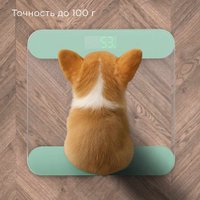 Напольные весы Redmond (Редмонд) SB1811 (зеленый)