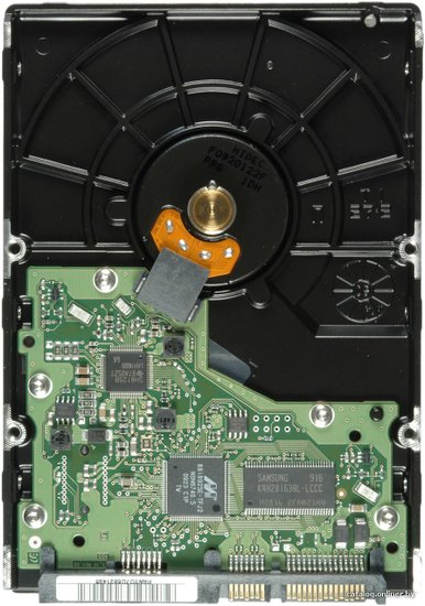 Seagate Barracuda 500GB ST500DM005 Spinpoint F3 HD502HJ