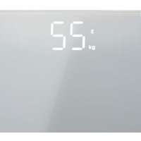 Напольные весы Redmond (Редмонд) SkyBalance RS-773S