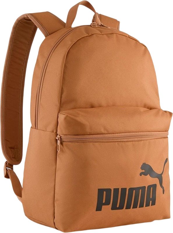 

Спортивный рюкзак Puma Phase Backpack 09116418 (песочный)