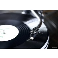 Звукосниматель Sumiko Rainier