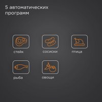 Электрогриль Redmond (Редмонд) SteakMaster GM305