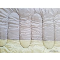 Спальный мешок BalMax Аляска Camping Plus -10 (левая молния, черный/хаки)