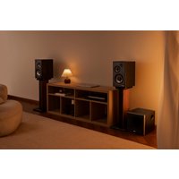 Акустика Edifier R2750DB MKII (черный)