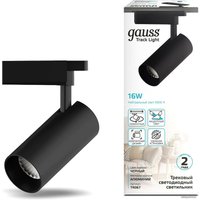 Трековый светильник Gauss TR067