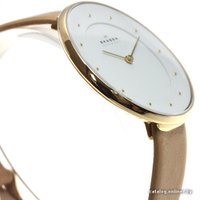 Наручные часы Skagen SKW2137 в Пинске
