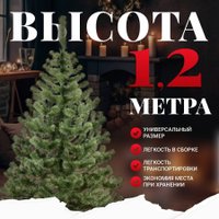 Пихта Erbis Jodla 120