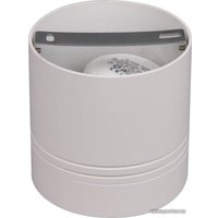 Точечный светильник JAZZway 5005709