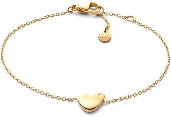 Браслет Skagen SKJ1569710