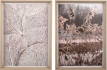 Картины, постеры, гобелены, панно