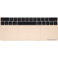 Ноутбук Apple MacBook (2015 год) [MK4M2]