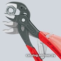 Клещи трубные Knipex 85 01 250