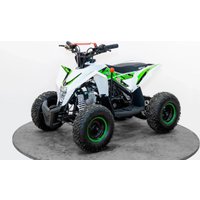 Квадроцикл Motax Gekkon 90 (черный/белый/зеленый)