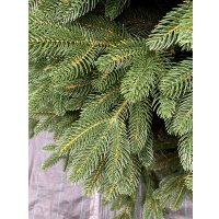 Елка GreenTerra Босния (1.8м)