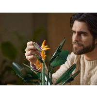 Конструктор LEGO Creator Expert 10289 Райская птица