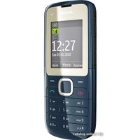 Кнопочный телефон Nokia C2-00