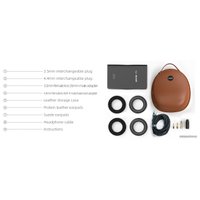 Наушники FiiO FT3 350 Ом