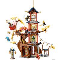Конструктор LEGO Ninjago 71795 Храм энергетических ядер Дракона