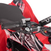 Квадроцикл White Siberia Leto R Red