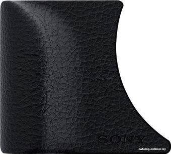  Sony AG-R2