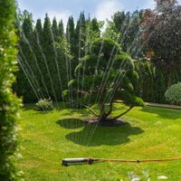 Распылитель Daewoo Power DWS 2080