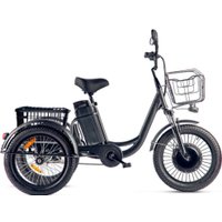 Электровелосипед Smart Balance Tank Trike 2024 (черный)